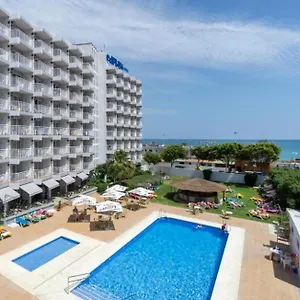 Bhost - Palmeras Benalmadena